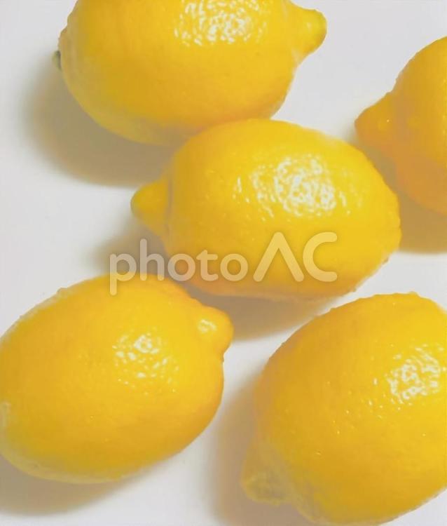 レモン レモン,フルーツ,果物の写真素材