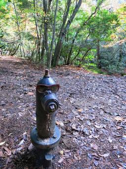 A mountain path with a funny fire hydrant, JPG A mountain path with a funny fire hydrant, JPG