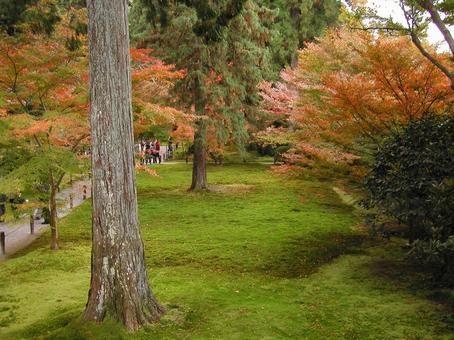 京都 大原 京都 大原の写真