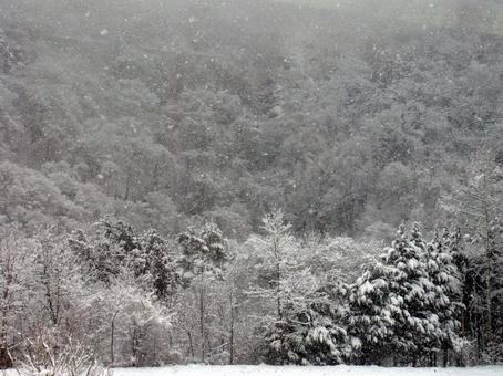 Snow Country, JPG Snow Country, JPG