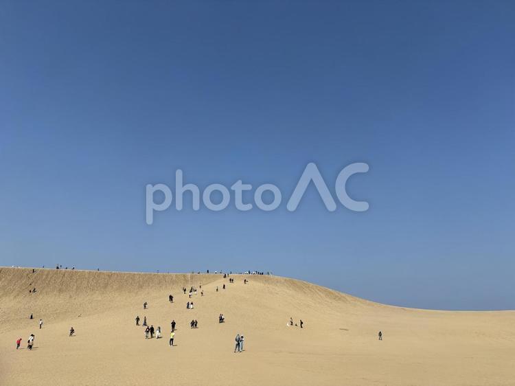 砂丘 鳥取砂丘,鳥取,観光の写真素材