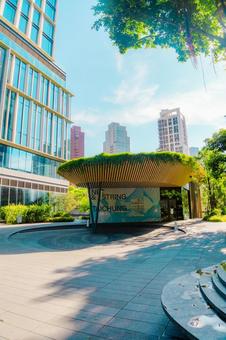 【台湾】台中の夏の風景 2025 【台湾】台中の夏の風景 2025 台中,街並み,風景の写真素材