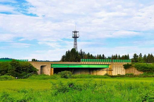 2025年8月の里山22 2025年8月の里山22 田んぼ,水田,高架橋の写真素材