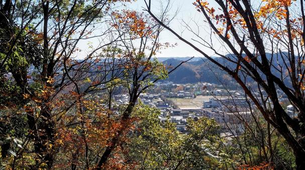 天覧山から見た飯能の街&紅葉の山・飯能市 天覧山から見た飯能の街&紅葉の山・飯能市 秋,天覧山,眺望の写真素材