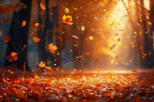 紅葉が降り注ぐ秋の風景 紅葉が降り注ぐ秋の風景の写真