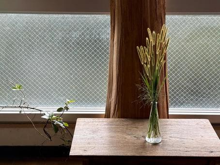 キンエノコログサのしつらい インテリア,野草,川べりの写真素材