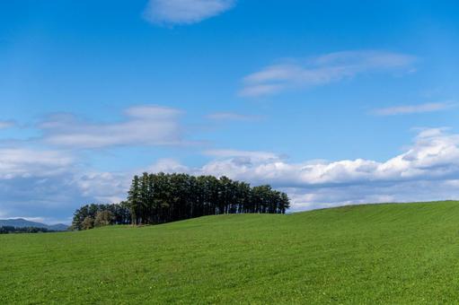 なだらかな緑の丘の上に静かに佇む木々の写真