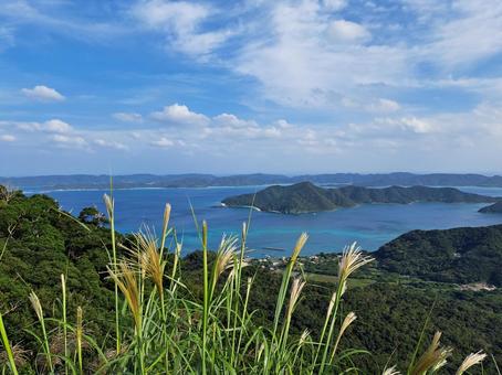 龍郷湾を望む 龍郷湾,望む,奄美自然観察の森の写真素材