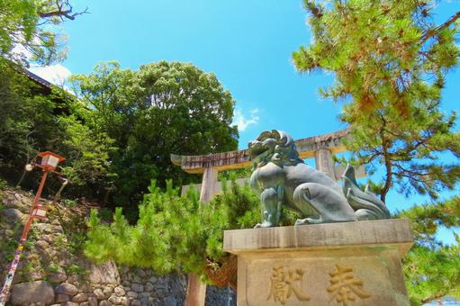 日本三景安芸の宮島厳島神社の狛犬 日本三景安芸の宮島厳島神社の狛犬 日本三景宮島,厳島神社,厳島の写真素材