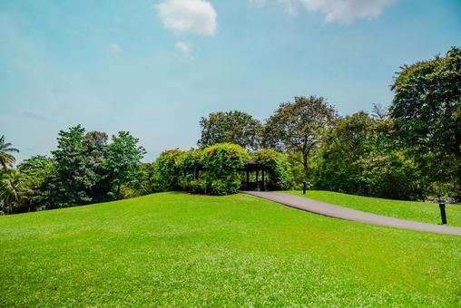 【シンガポール】植物園オーキッドガーデン シンガポール,singapore,ナショナルの写真素材