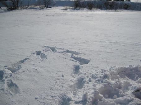 Winter footprints, hokkaido, winter, snow, JPG