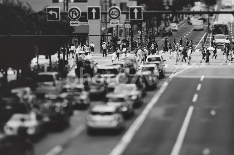 横断歩道を渡る人々と都市風景 ビジネスイメージ 横断歩道,人,人々の写真素材