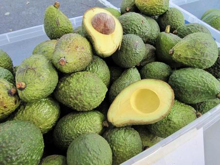 南国ハワイ産アボカドの山と新鮮なカット面 アボカド,ハワイ,kccの写真素材