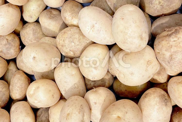 野菜・ジャガイモ ジャガイモ,じゃがいも,ジャガ芋の写真素材