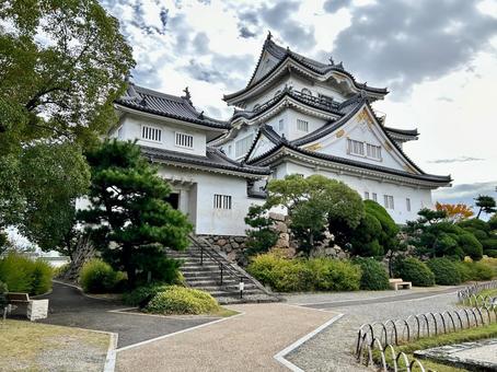 岸和田城 大阪,大阪府,岸和田の写真素材