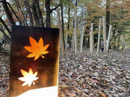 autumn, JPG autumn, JPG