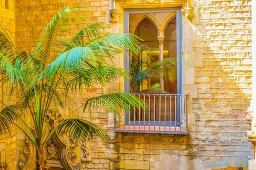 ヤシの木とアーチ窓 ヤシの木,アーチ窓,建物の写真素材