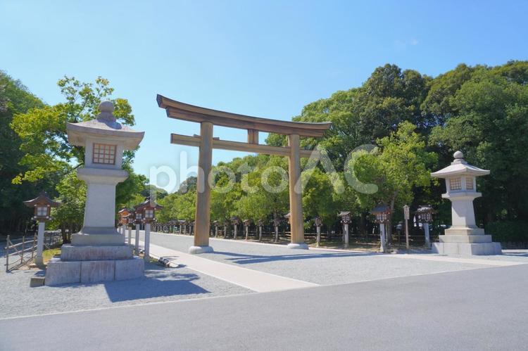 橿原神宮　鳥居　奈良県 鳥居,神社,橿原神宮の写真素材