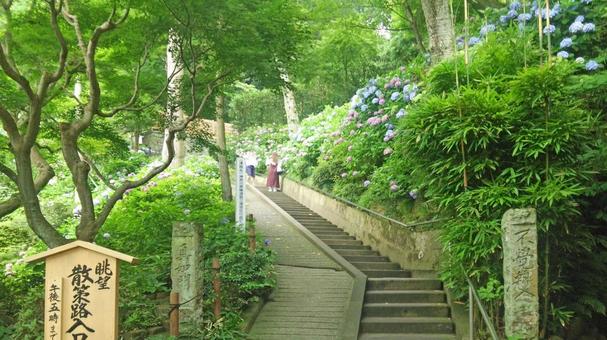 坂東33観音 04番 長谷寺 境内の風景 坂東33観音 04番 長谷寺 境内の風景の写真