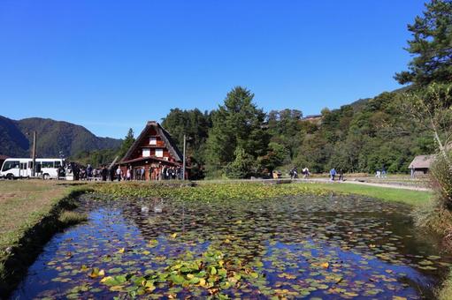 白川郷 白川郷,白川村,日本の風景の写真素材