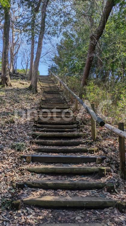 自然の中の階段 自然,山道,木漏れ日の写真素材