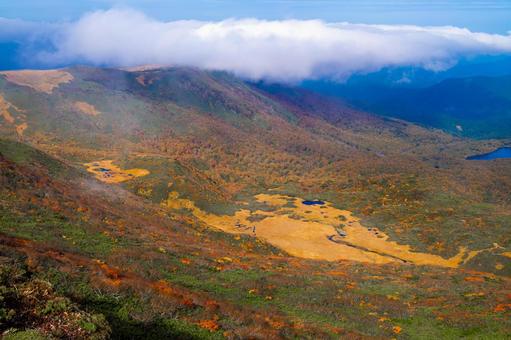 栗駒山 朝霧の紅葉と湿原 栗駒山 朝霧の紅葉と湿原 秋,紅葉,黄葉の写真素材