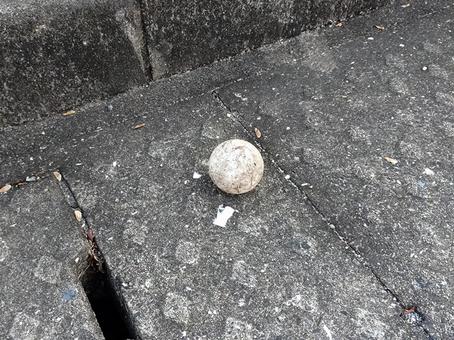 ボロボロのボール ボール,忘れ物,放置の写真素材