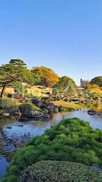 熊本　水前寺公園 水前寺公園,水前寺成趣園,熊本県の写真素材