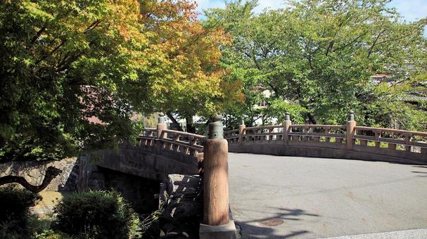 初秋の八幡堀に架かる明治橋 初秋の八幡堀に架かる明治橋 八幡堀,初秋,明治橋の写真素材