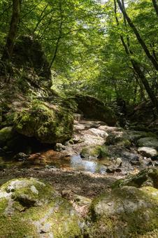 真夏のロックガーデン 真夏のロックガーデン 自然,風景,山の写真素材