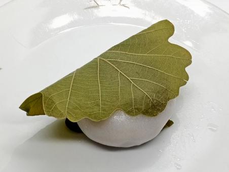 柏餅 かしわ餅,かしわもち,柏餅の写真素材