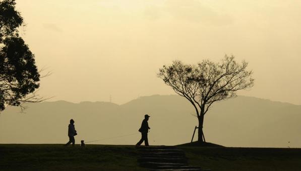 夕暮れ 散歩 夕暮れ 散歩の写真