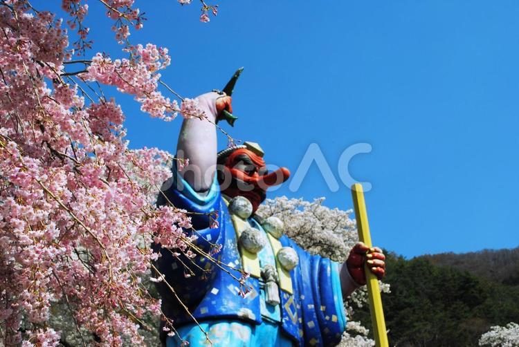 信州千曲市戸倉宿キティパークの桜 信州,千曲市,信戸倉宿キティパークの写真素材
