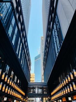 日本橋コレド室町の街路からビルを見上げる ビルディング,都会,東京都の写真素材