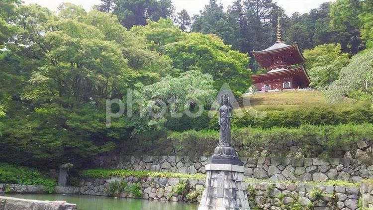 日本らしい風景 仏閣,初夏,塔の写真素材
