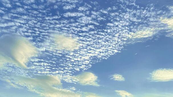 穏やかな空と美しい雲のパターン 青空,雲,模様の写真素材