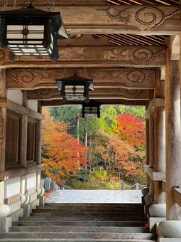 清大寺の廻廊、秋の彩 桜,紅葉,秋の写真素材
