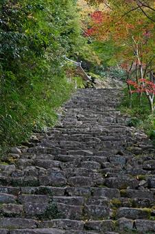滋賀・近江八幡 桑實寺 参道 滋賀・近江八幡 桑實寺 参道の写真
