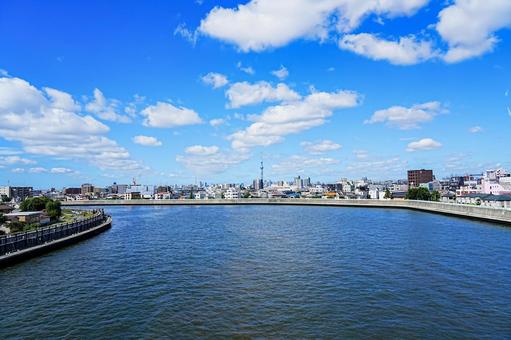 スカイツリーの有る風景 スカイツリーの有る風景の写真