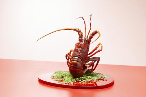 茹でた伊勢海老の飾り8 茹でた伊勢海老の飾り8 伊勢海老,エビ,正月の写真素材