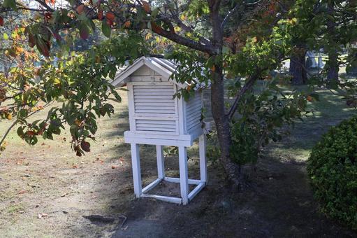 百葉箱 百葉箱,気象観測,温度計の写真素材