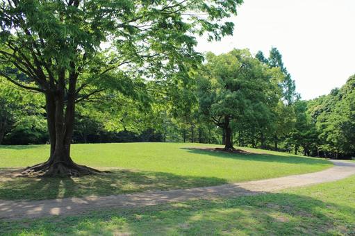 PARK2 PARK2の写真