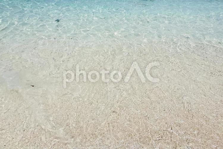 浜辺と澄んだ海 海辺,浜辺,波の写真素材