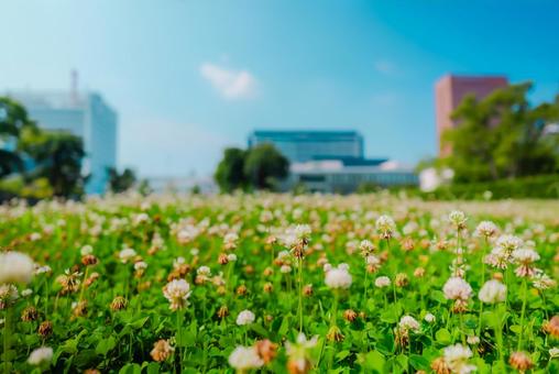 【和歌山】和歌山城 2025 【和歌山】和歌山城 2025の写真