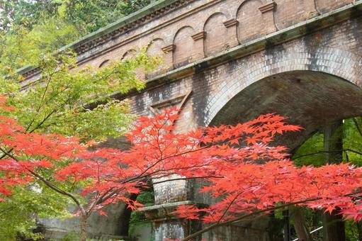 南禅寺 水路閣 レンガ造り 紅葉 錦秋 南禅寺 水路閣 レンガ造り 紅葉 錦秋の写真