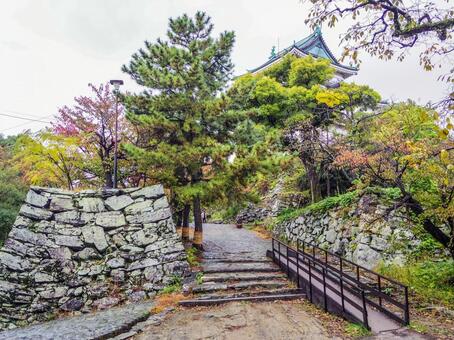【和歌山県】和歌山市・和歌山城 和歌山城,和歌山市,和歌山県の写真素材