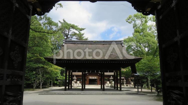 豊国神社　唐門から拝殿　 豊国神社,豊臣秀吉,豊国大明神の写真素材