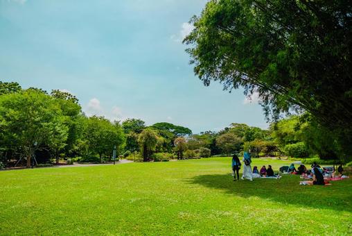 【シンガポール】植物園オーキッドガーデン シンガポール,singapore,ナショナルの写真素材