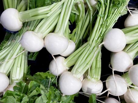 野菜・カブ カブ,蕪,根の写真素材