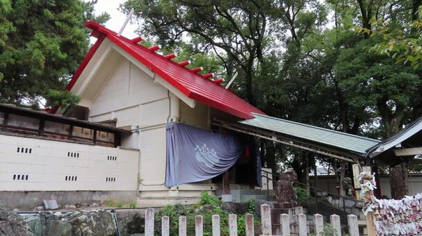 別小江神社　社殿 別小江神社,神社,神社仏閣の写真素材